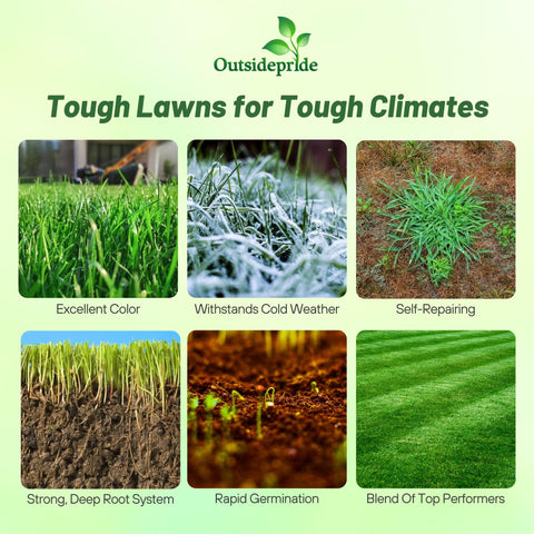 Outsidepride Combat Extreme dense-turf close-up shows texture and density.