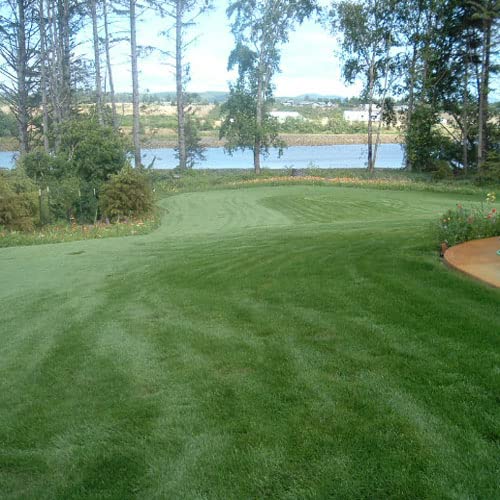 Outsidepride Combat Extreme overseeding application demonstrates seed spread readiness