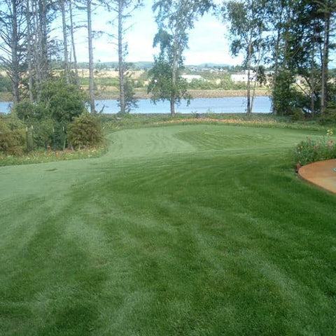 Outsidepride Combat Extreme overseeding application demonstrates seed spread readiness