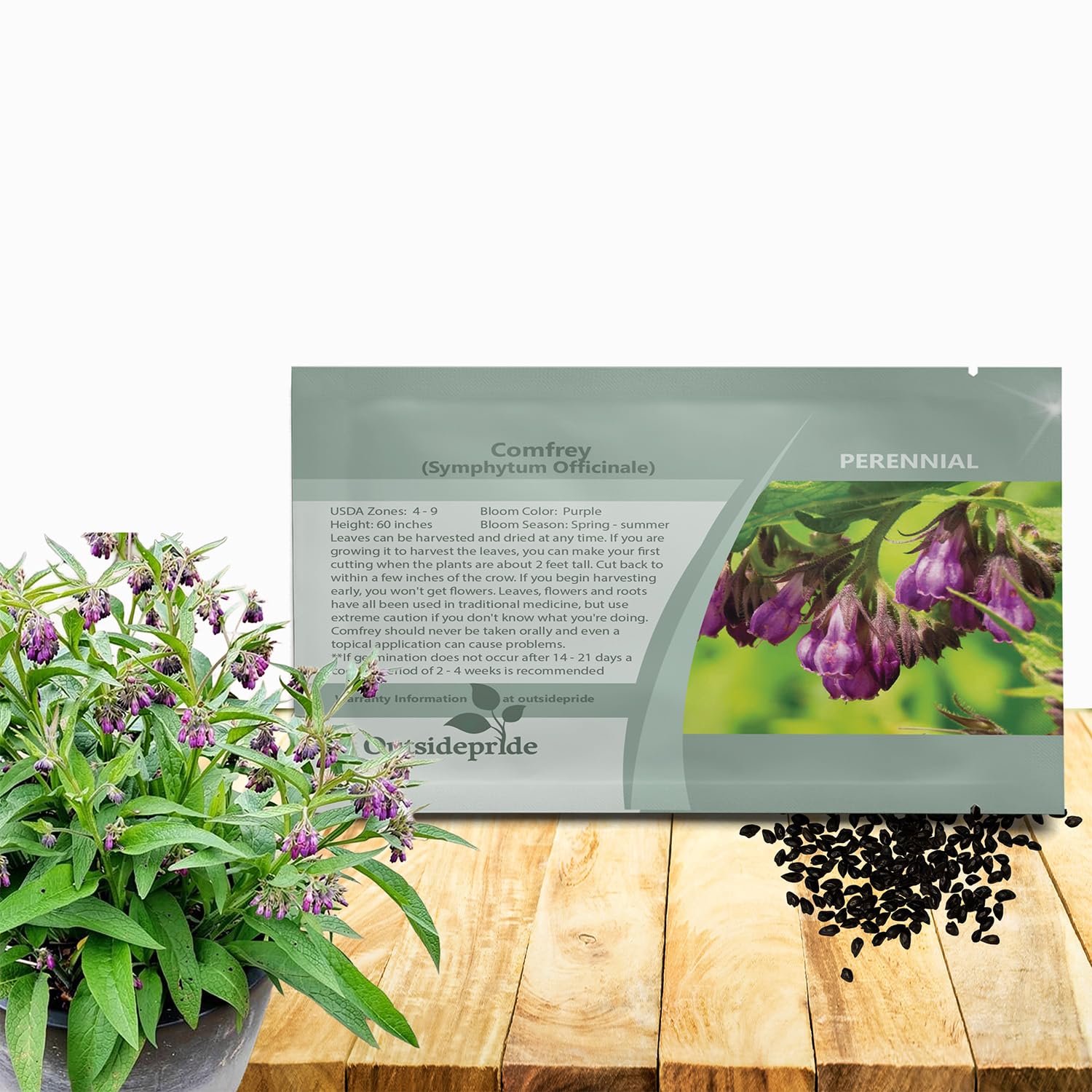 Outsidepride Comfrey Seeds: 60-inch purple bell blooms for striking borders.