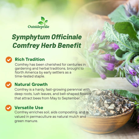Outsidepride Comfrey Seeds: Pollinators attracted to vibrant garden blooms.