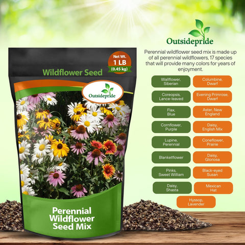 Outsidepride lance-leaved coreopsis vibrant yellow petals in bed.