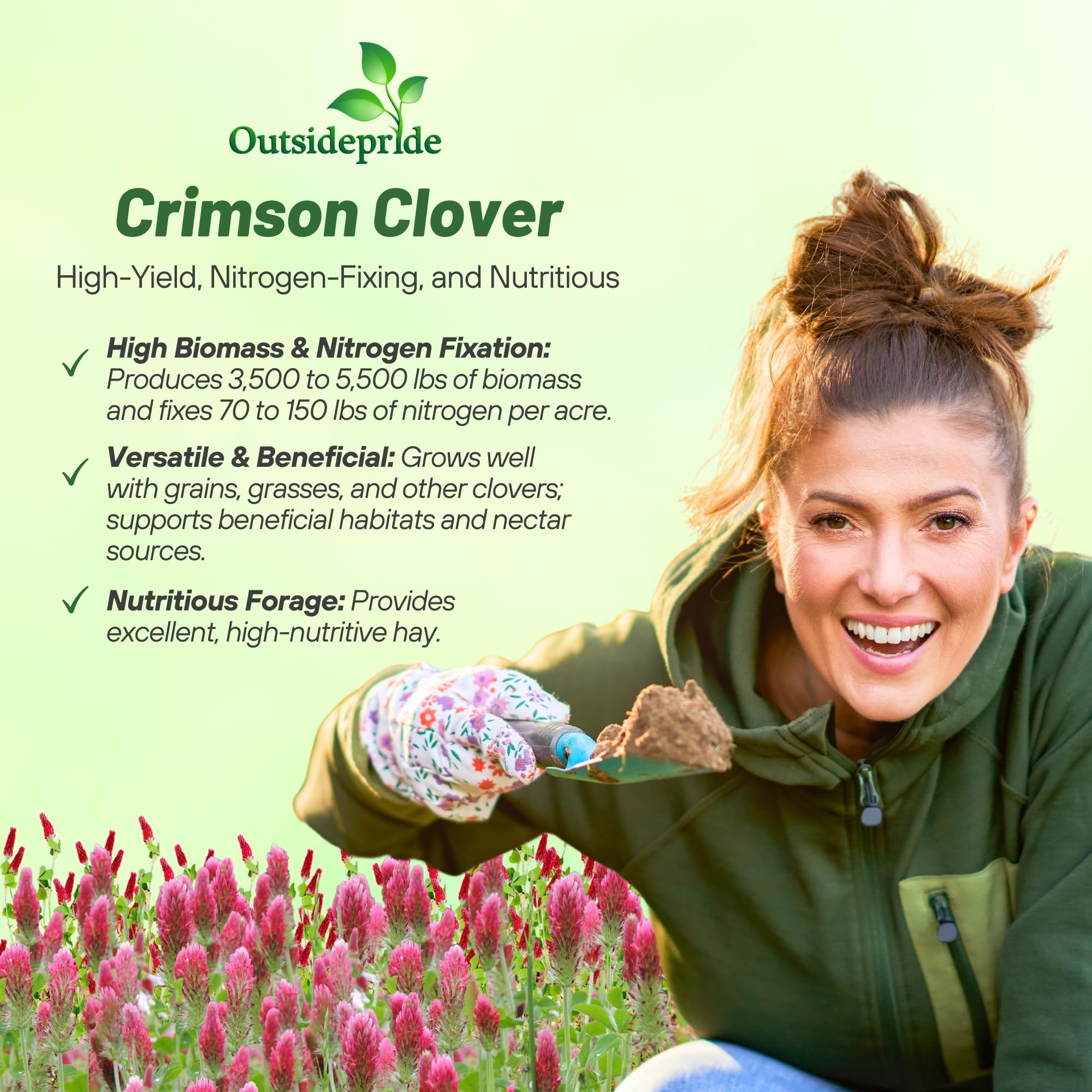 Outsidepride Crimson Clover Seeds winter-grazing photo suggests late-season grazing potential.