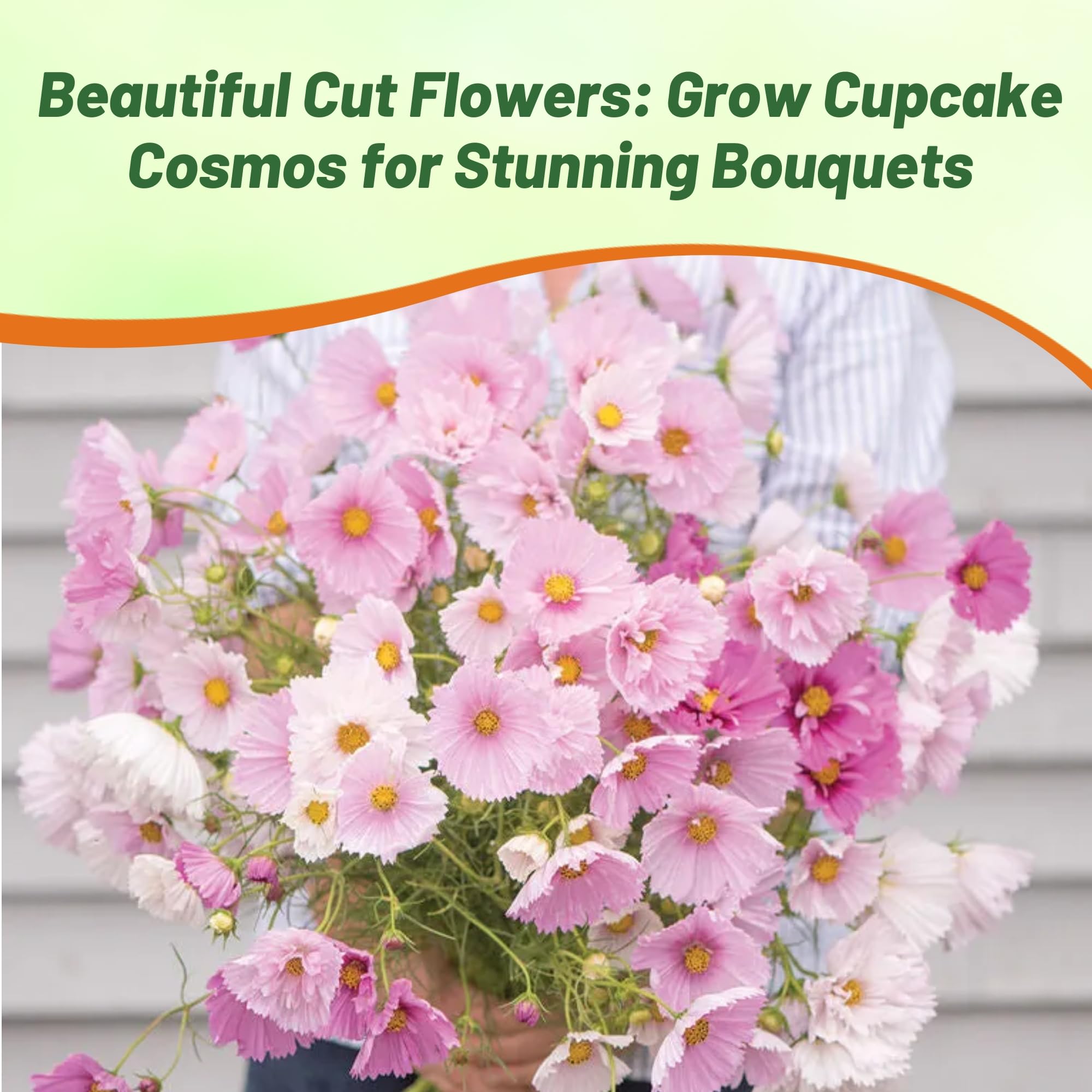 Outsidepride Cupcakes Blush Cosmos flower clusters add elegant texture