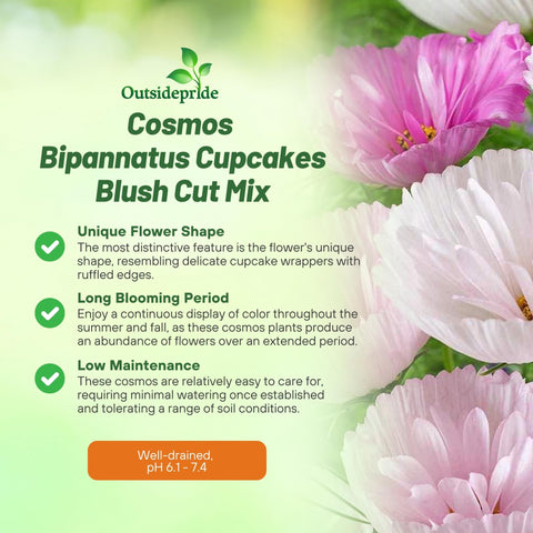 Outsidepride Cupcakes Blush Cosmos meadow display attracts pollinators