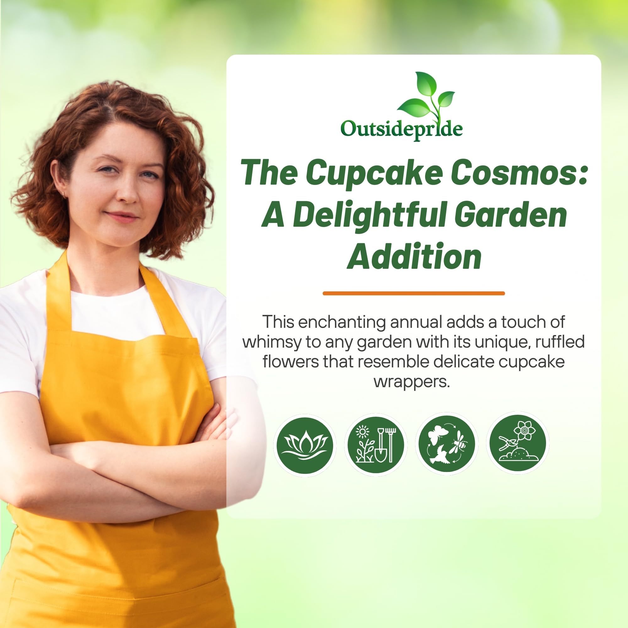 Outsidepride Cupcakes Blush Cosmos blooms attract bees and butterflies