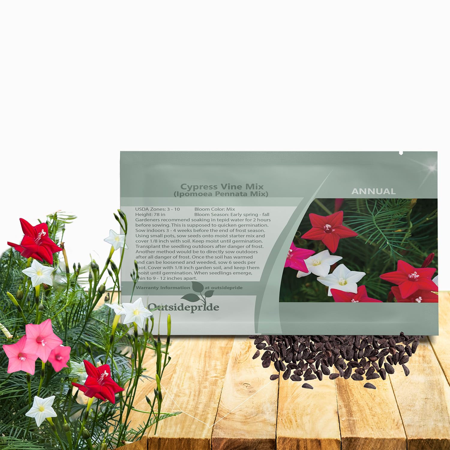 Outsidepride Cypress Vine Mix Seeds on a fence; vivid blooms and lush foliage