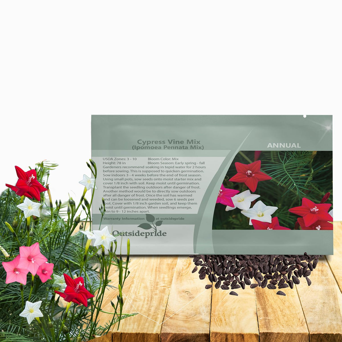 Outsidepride Cypress Vine Mix Seeds on a fence; vivid blooms and lush foliage