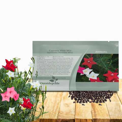 Outsidepride Cypress Vine Mix Seeds on a fence; vivid blooms and lush foliage