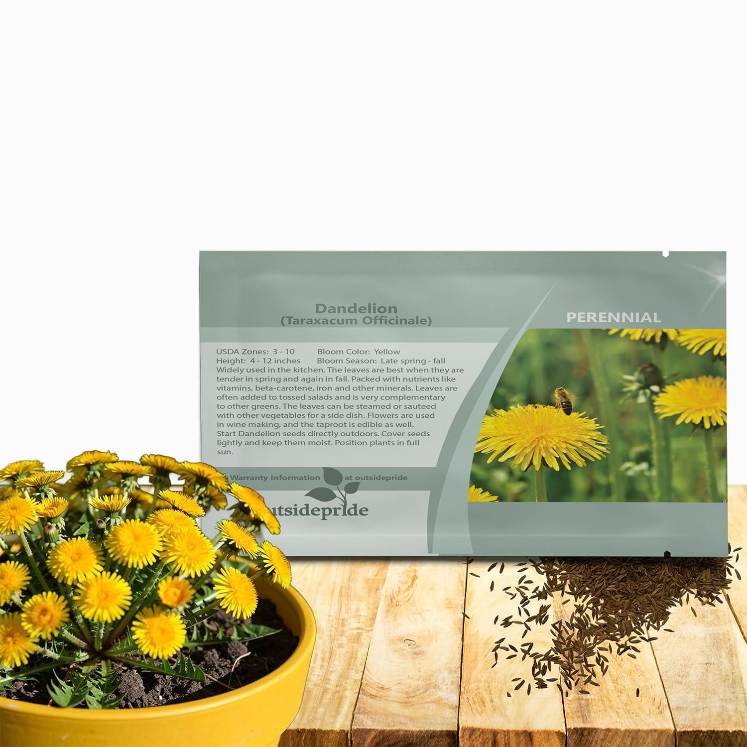 Outsidepride dandelion seeds pack for effortless edible landscaping.