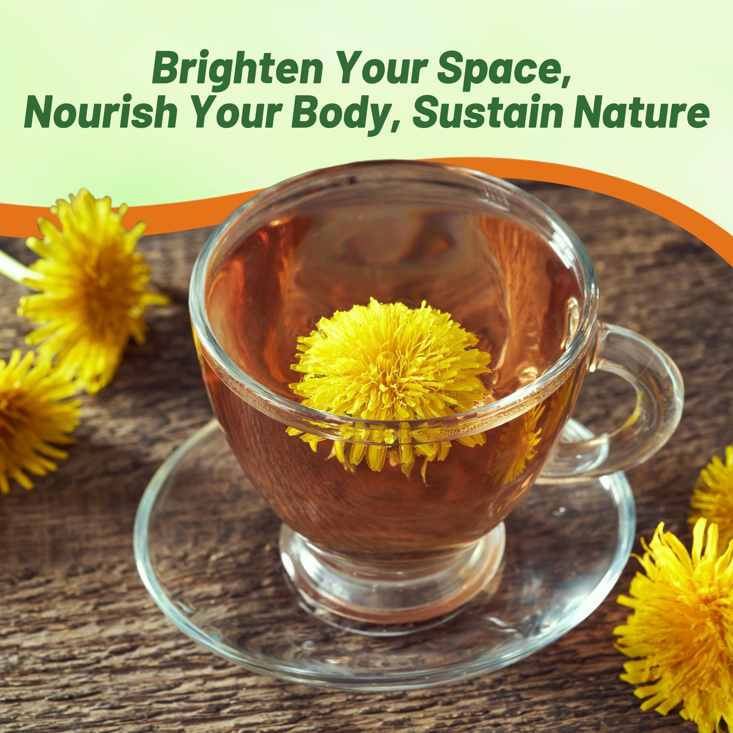 Outsidepride dandelion seeds pollinator-friendly flowers supporting garden health