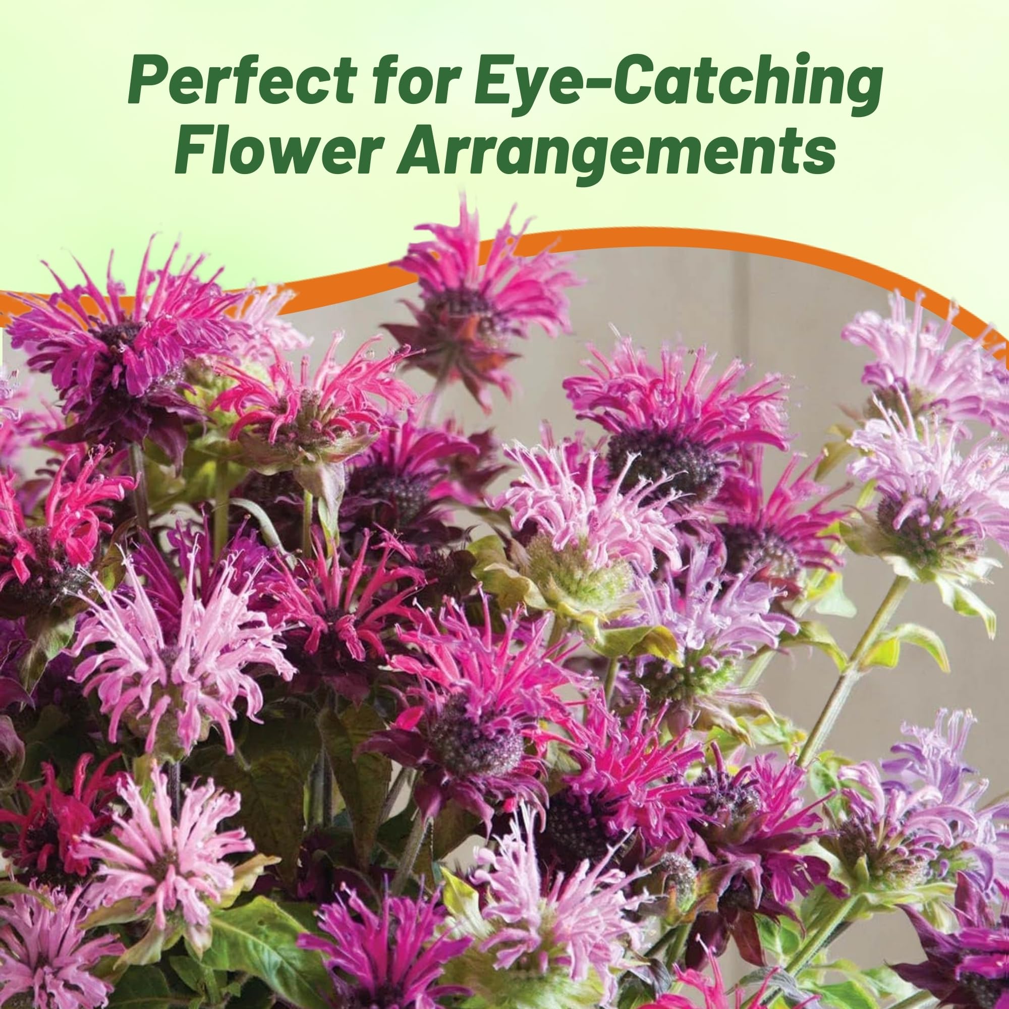 Outsidepride Deer-proof garden plant that stays vibrant through seasons.