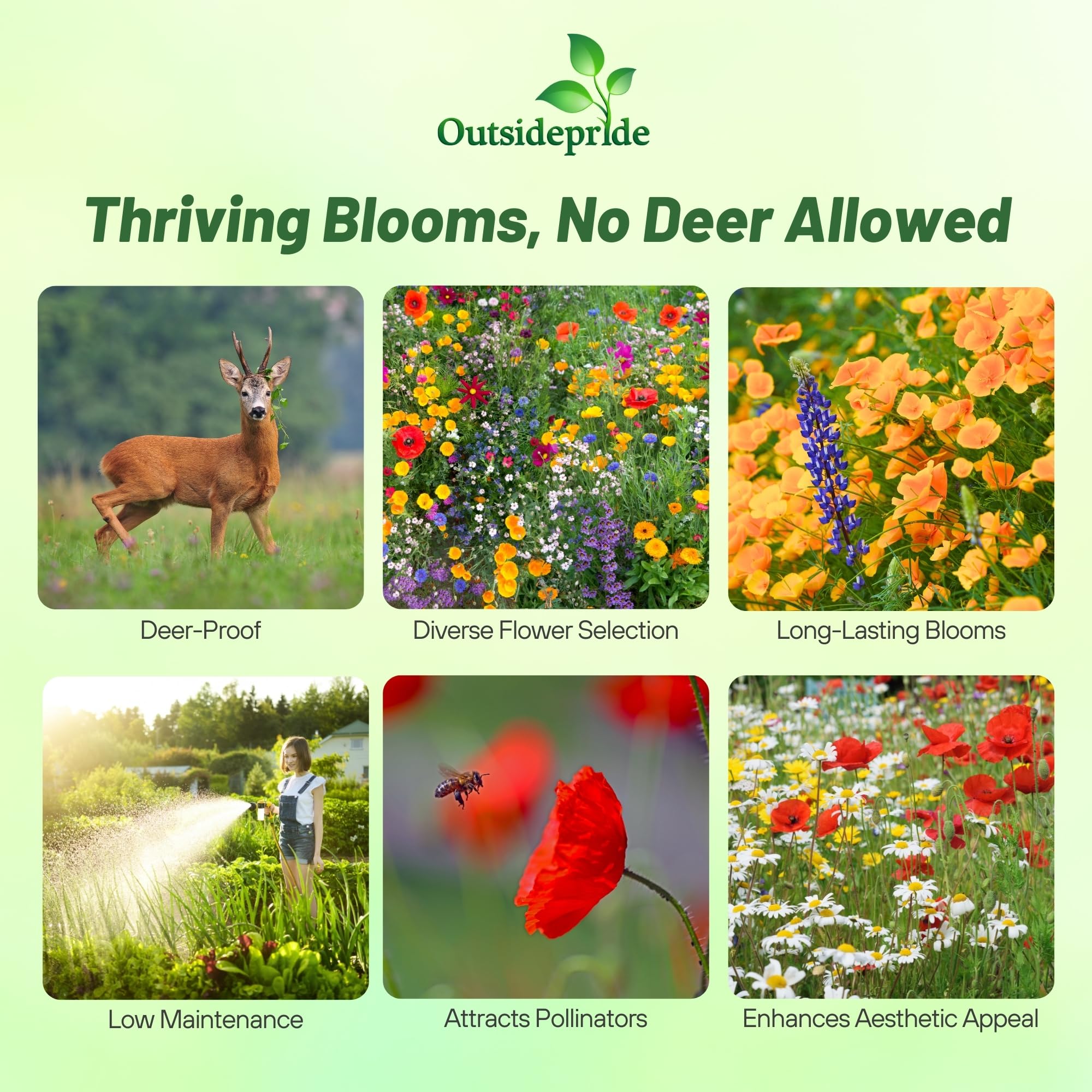 Outsidepride deer-proof wildflower mix in a lush meadow for easy color