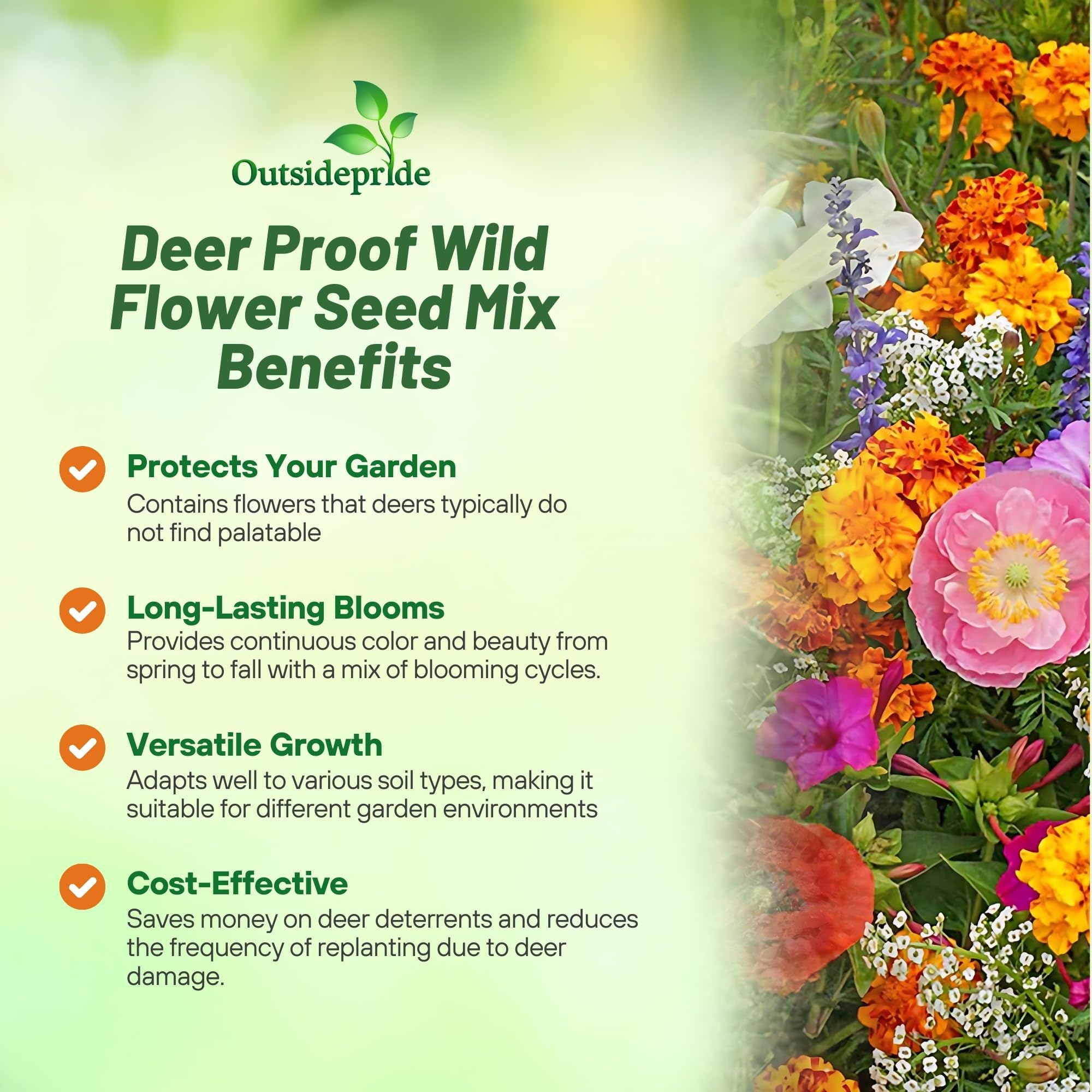 Outsidepride deer-proof wildflower mix attracting pollinators in a garden