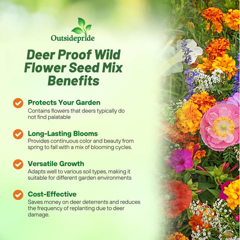 Outsidepride deer-proof wildflower mix attracting pollinators in a garden
