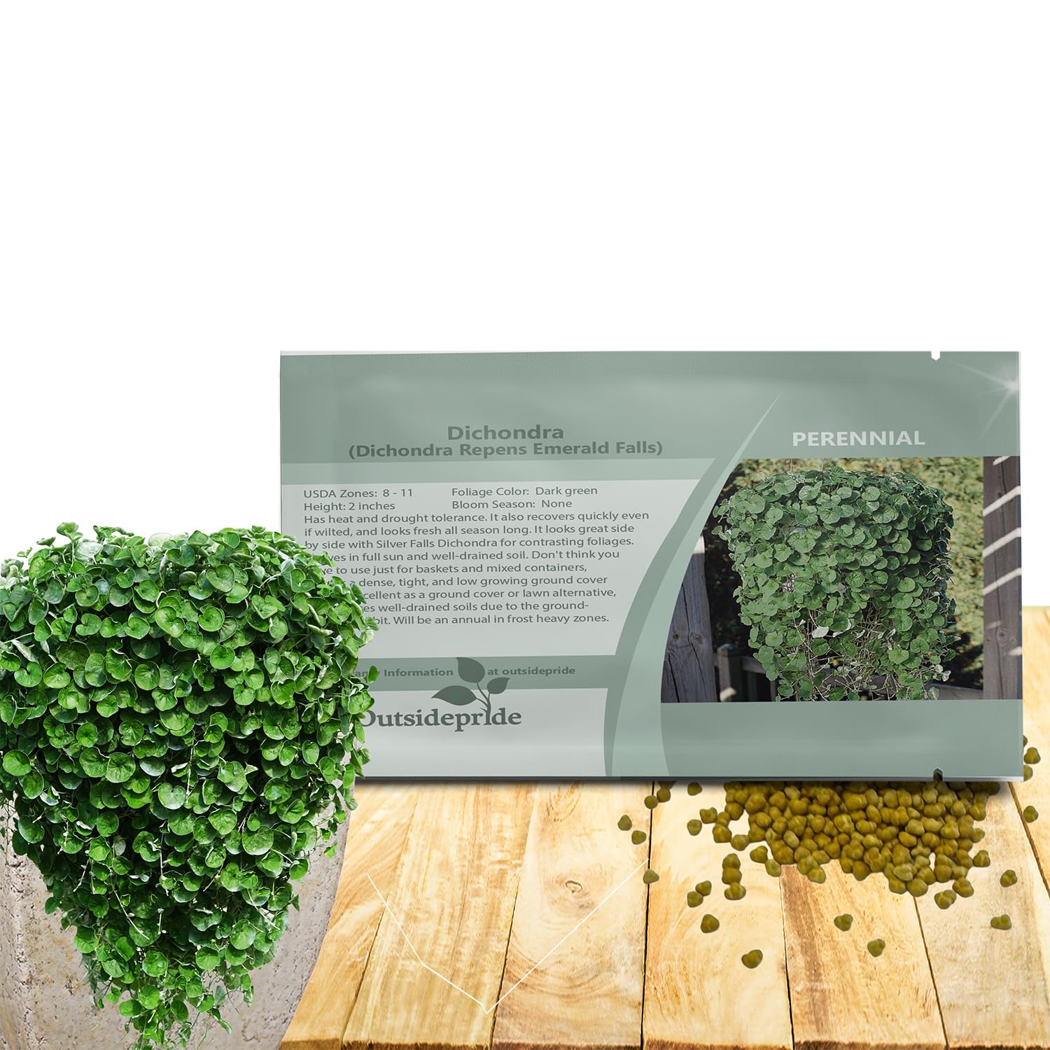 Outsidepride Dichondra Emerald Falls ground cover forms lush green carpet for lawns