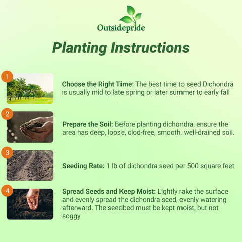 Outsidepride Dichondra Repens provides erosion control and attractive spills in containers