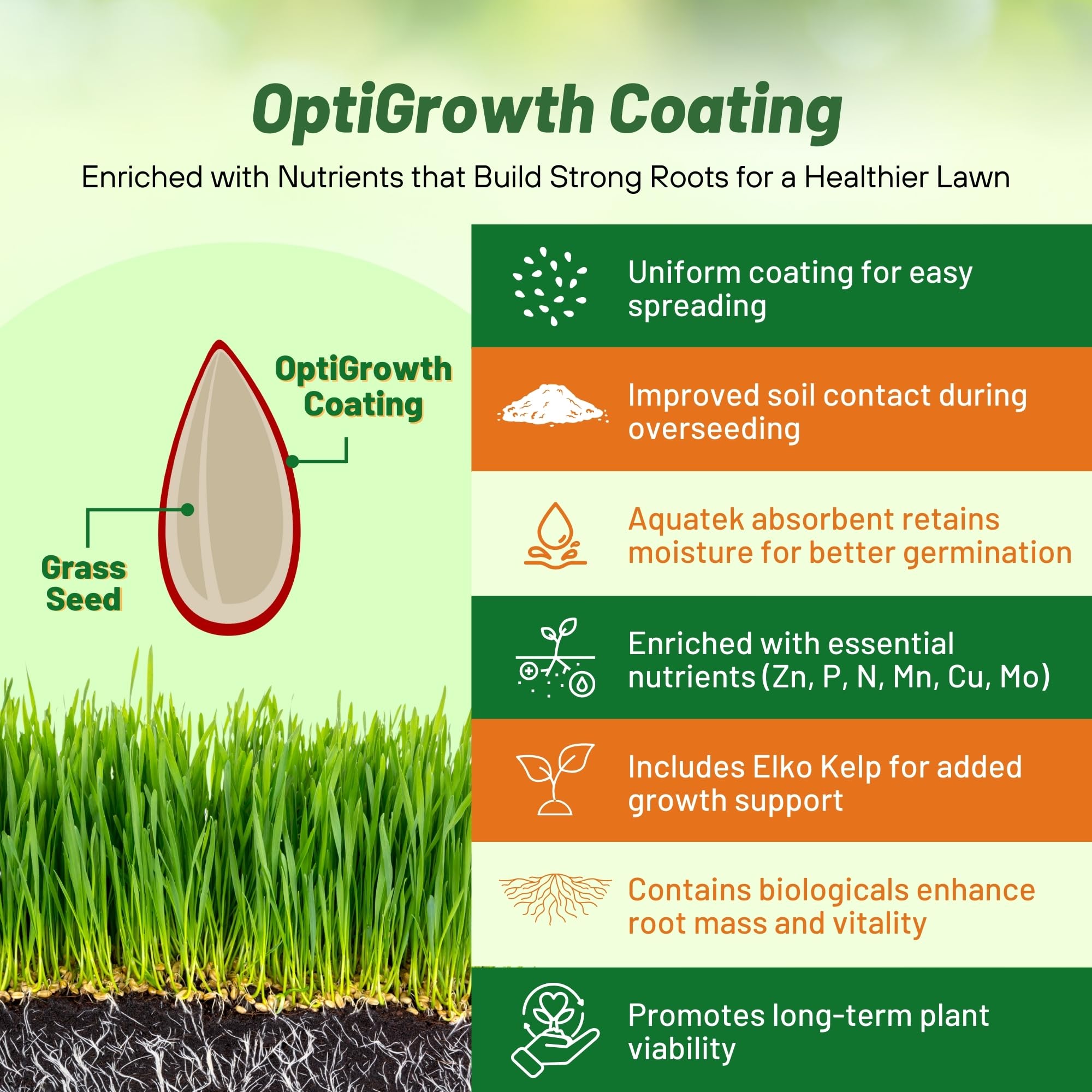 Outsidepride drought-resistance lawn patch for dry-period resilience.