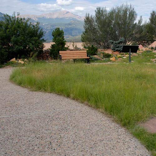 Outsidepride drought-tolerant seed mix ready to establish on sandy soil.