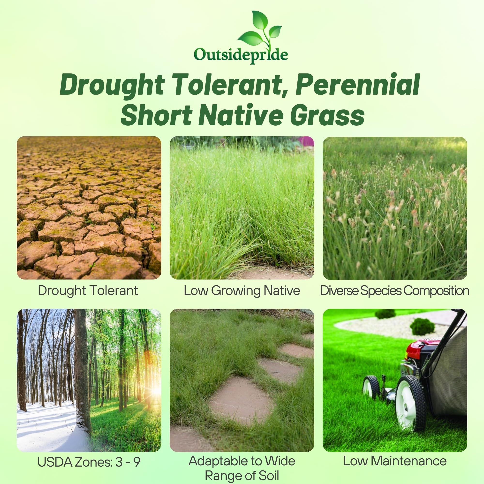 Outsidepride drought-tolerant grass seed mix ideal for hot sunny southern yards.