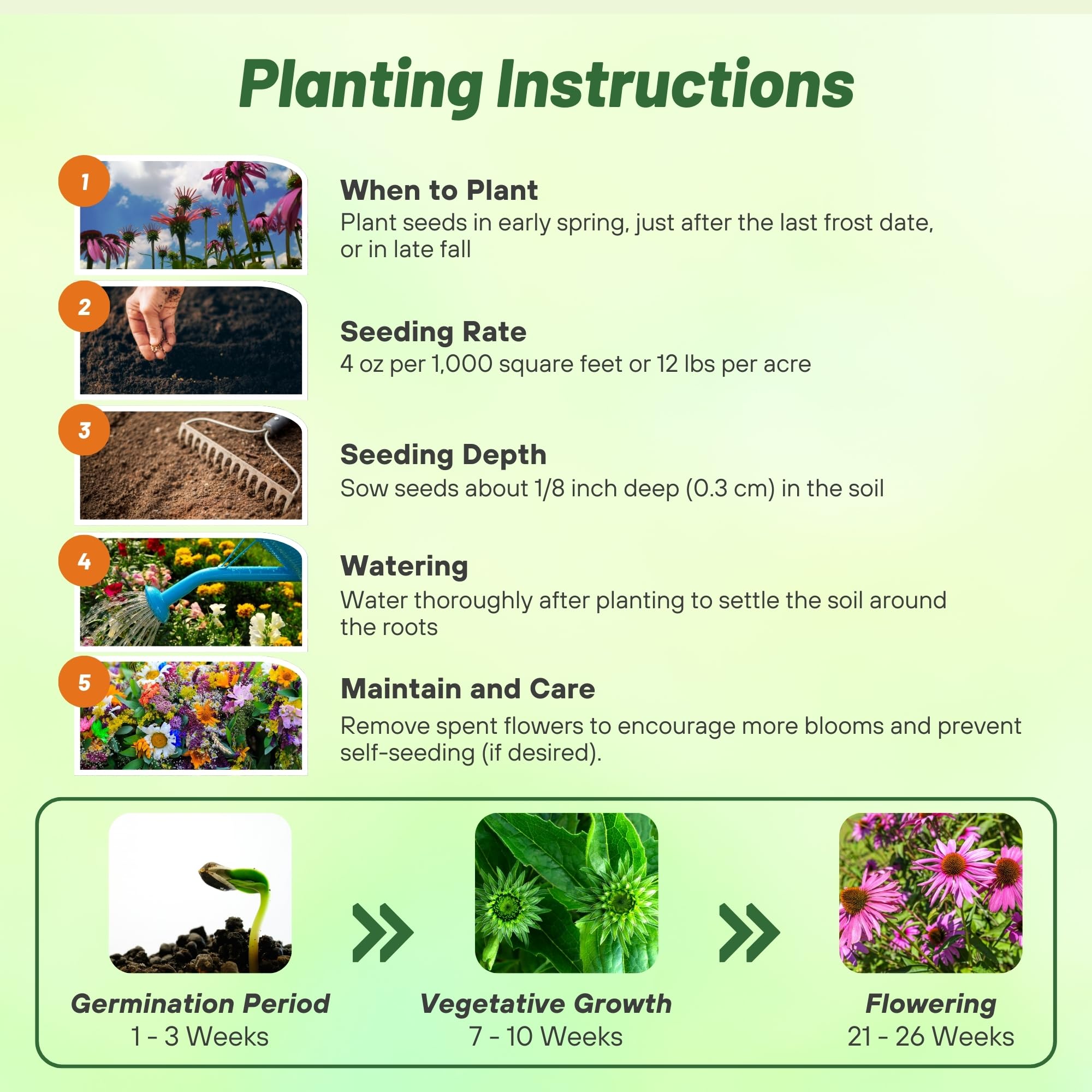 Outsidepride drought-tolerant perennials provide color with less watering