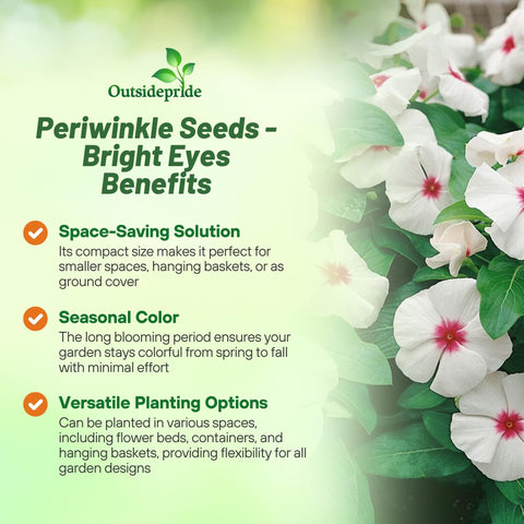 Outsidepride drought-tolerant vinca seeds suited for hot, low-water landscapes.