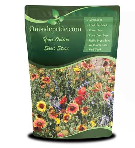 Outsidepride Dryland Wildflower Mix bloom close-up in arid soil for color
