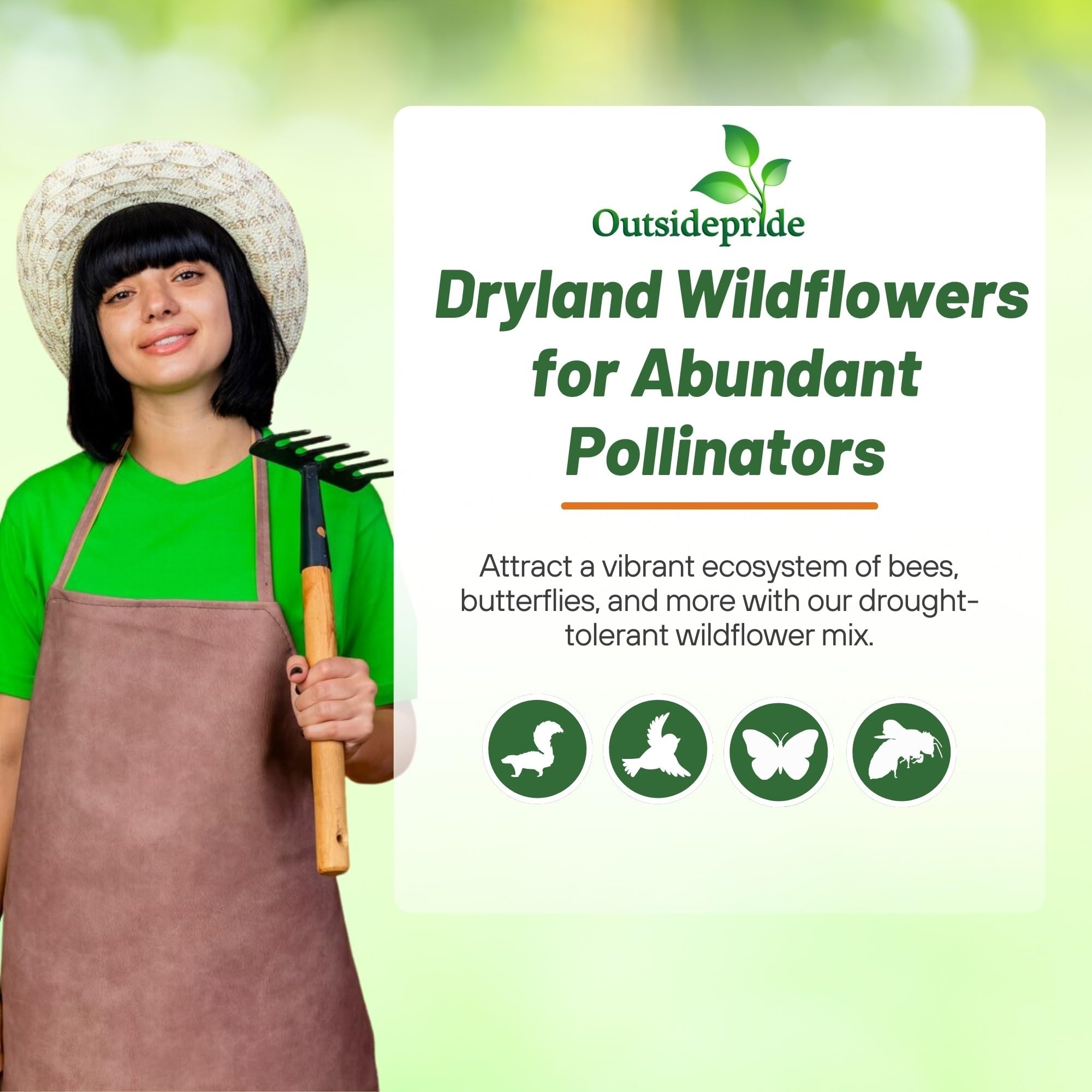 Outsidepride Dryland Wildflower Mix attracts bees and butterflies to blooms