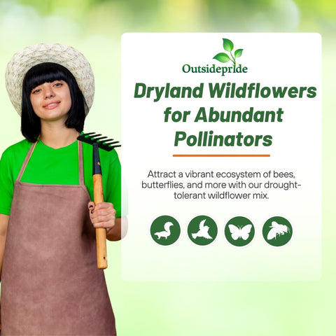 Outsidepride Dryland Wildflower Mix attracts bees and butterflies to blooms