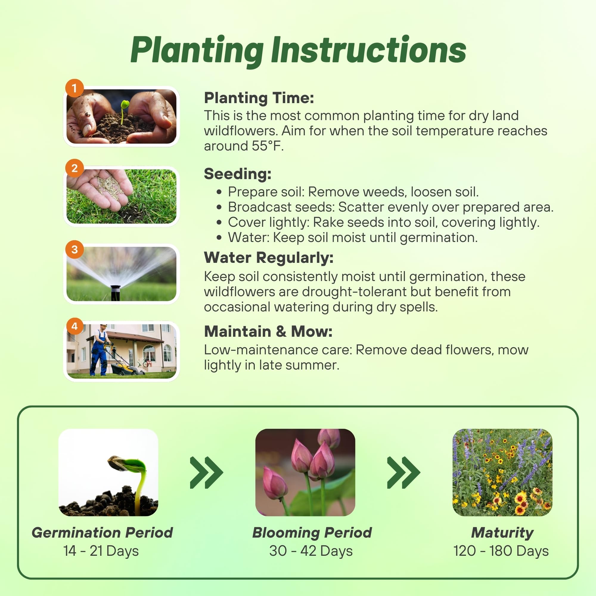 Outsidepride Dryland Wildflower Seed Mix is easy to establish by broadcasting or drilling.