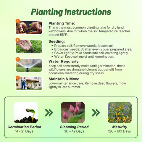 Outsidepride Dryland Wildflower Seed Mix is easy to establish by broadcasting or drilling.