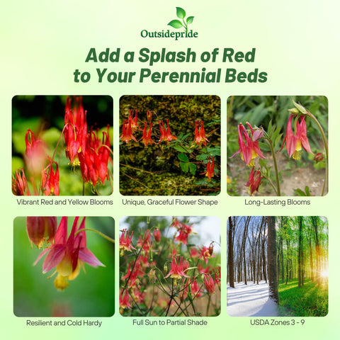 Outsidepride Eastern Red Columbine seeds germination tips closeup helps plan spring blooms