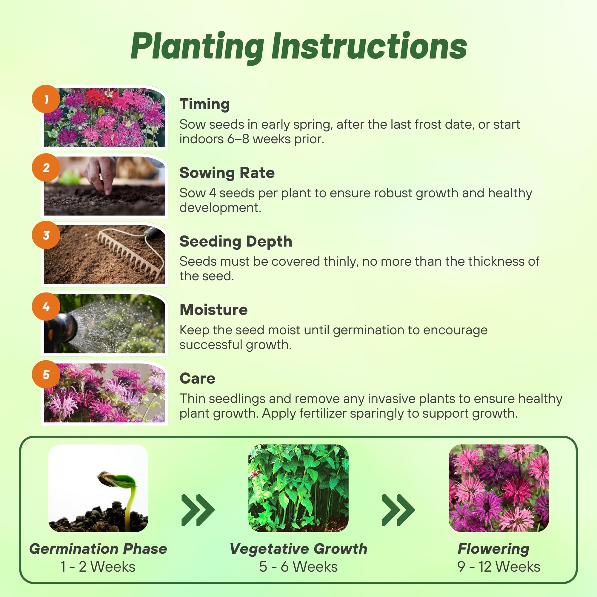 Outsidepride Edible leaves and blooms add aroma to teas and culinary creations.