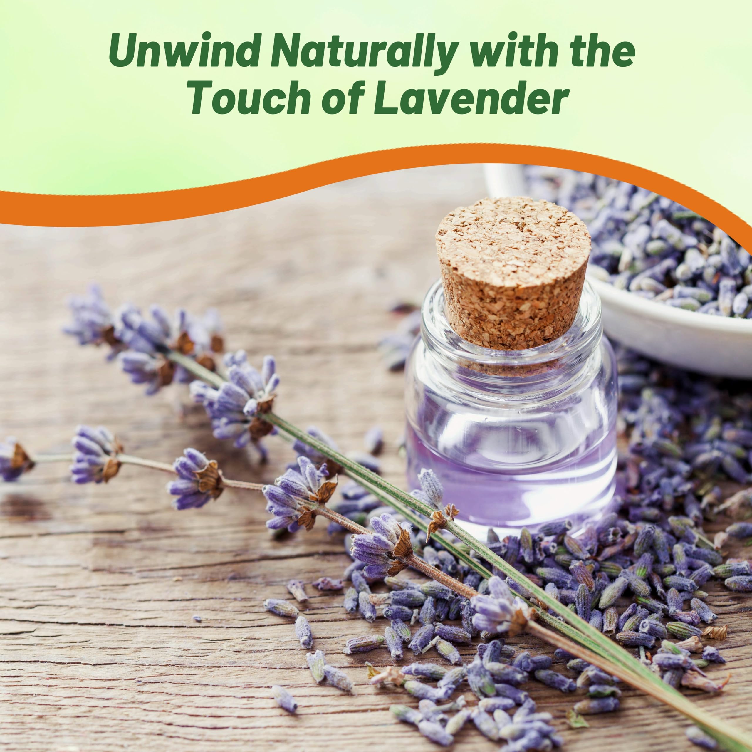 Outsidepride lavender used as a drought-tolerant border in xeriscaping