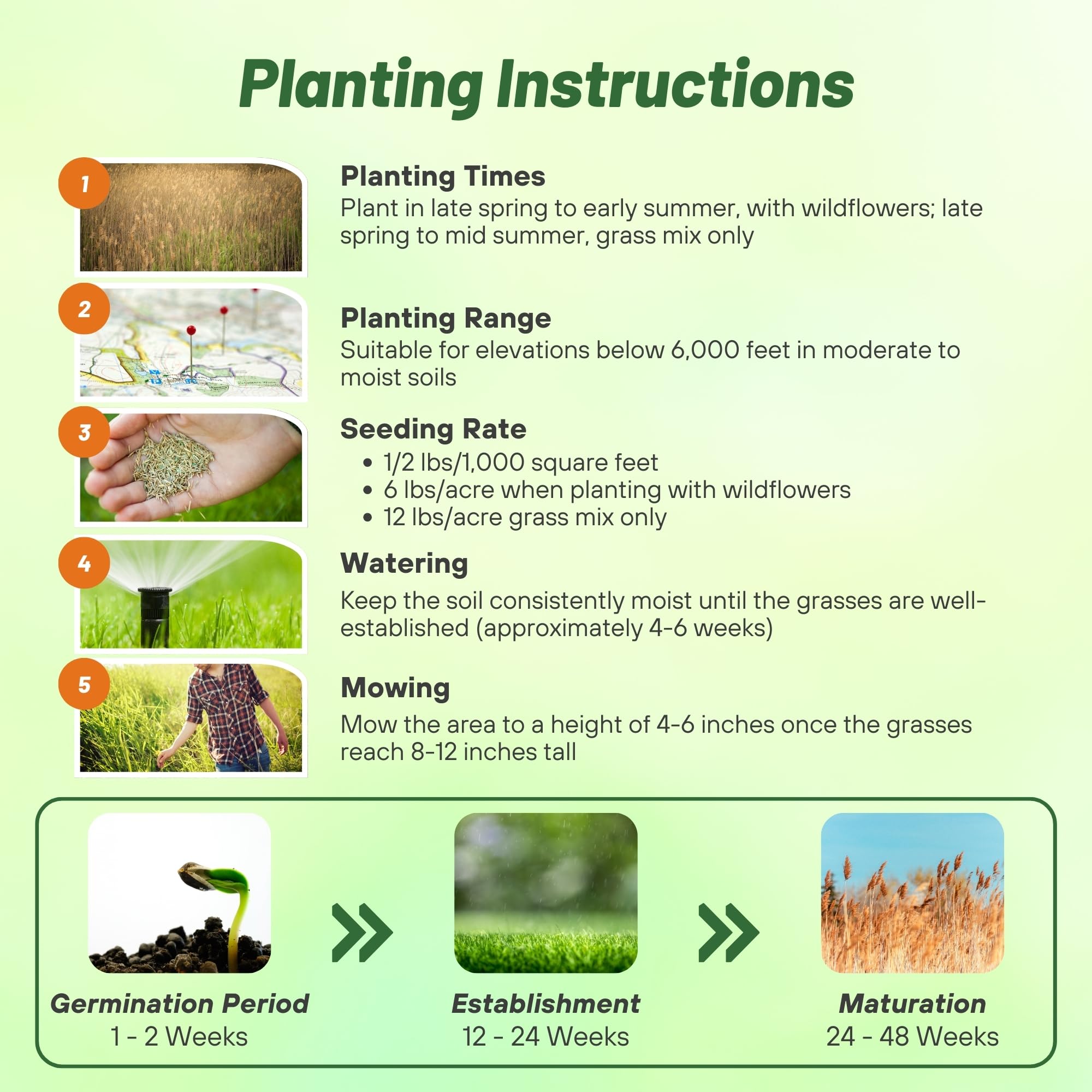 Outsidepride native grasses stabilize soil and reduce erosion on slopes and exposed areas.