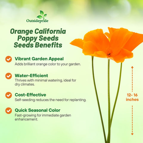 Outsidepride Eschscholzia Orange California Poppy Meadow planting illustrates quick growth for meadows