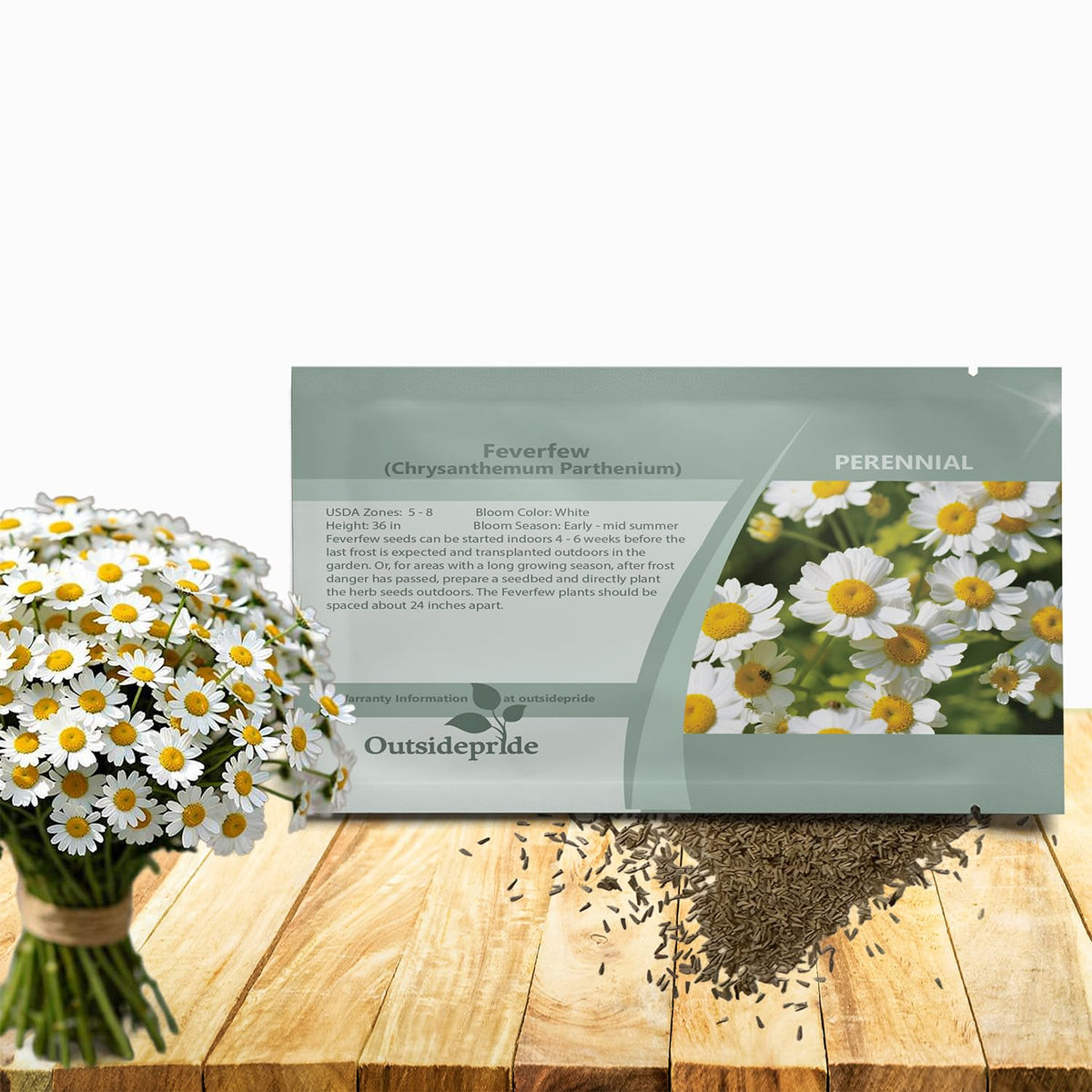 Outsidepride Feverfew Chrysanthemum Seeds packaging boosts garden color for drought-tolerant beds