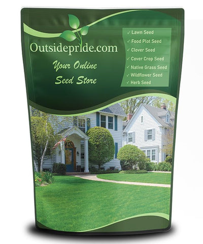 Outsidepride Fireball & Hatrick ryegrass seed blend in a 5 lb bag for lush lawns