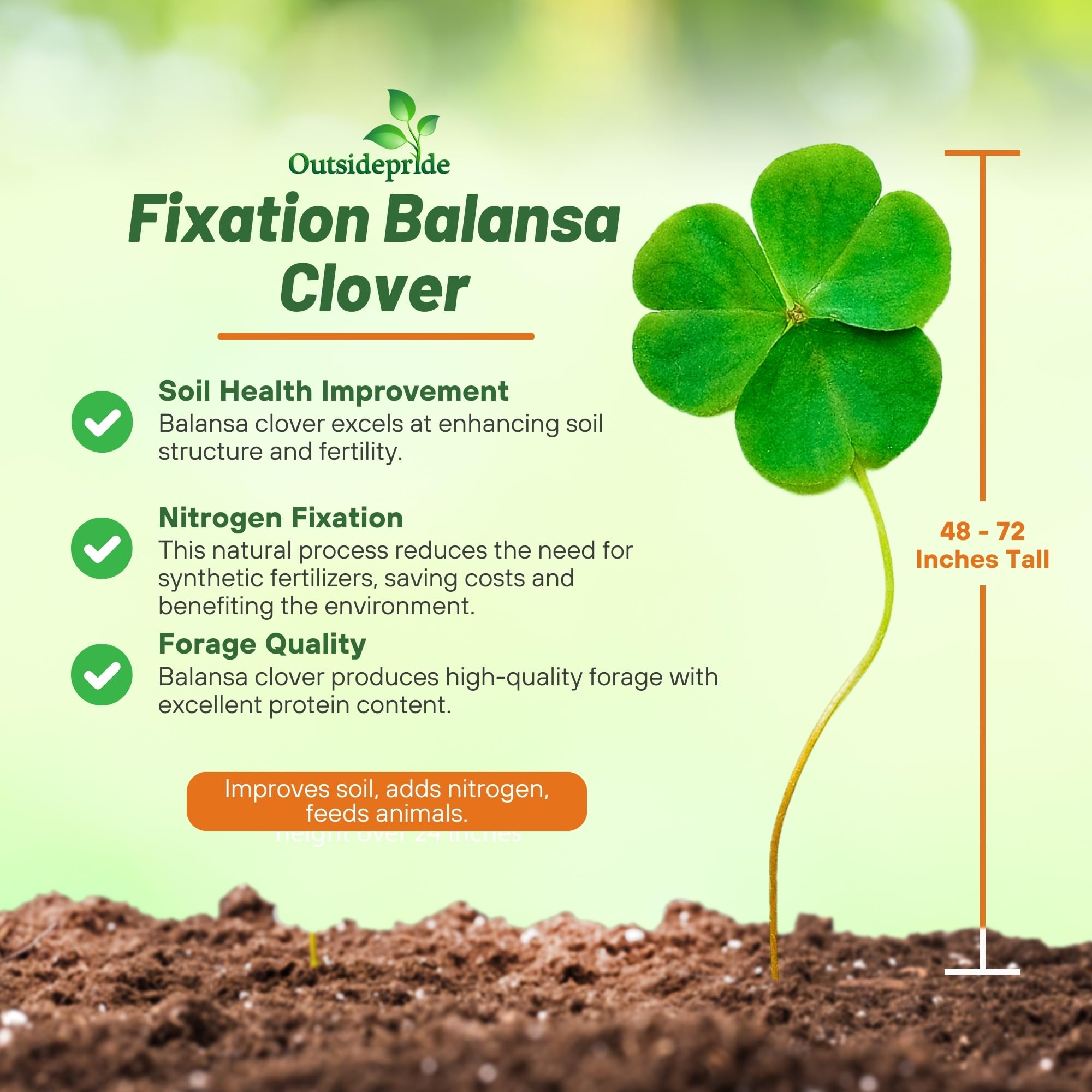 Outsidepride Fixation Balansa Clover biomass forms a dense mulch to improve soil moisture