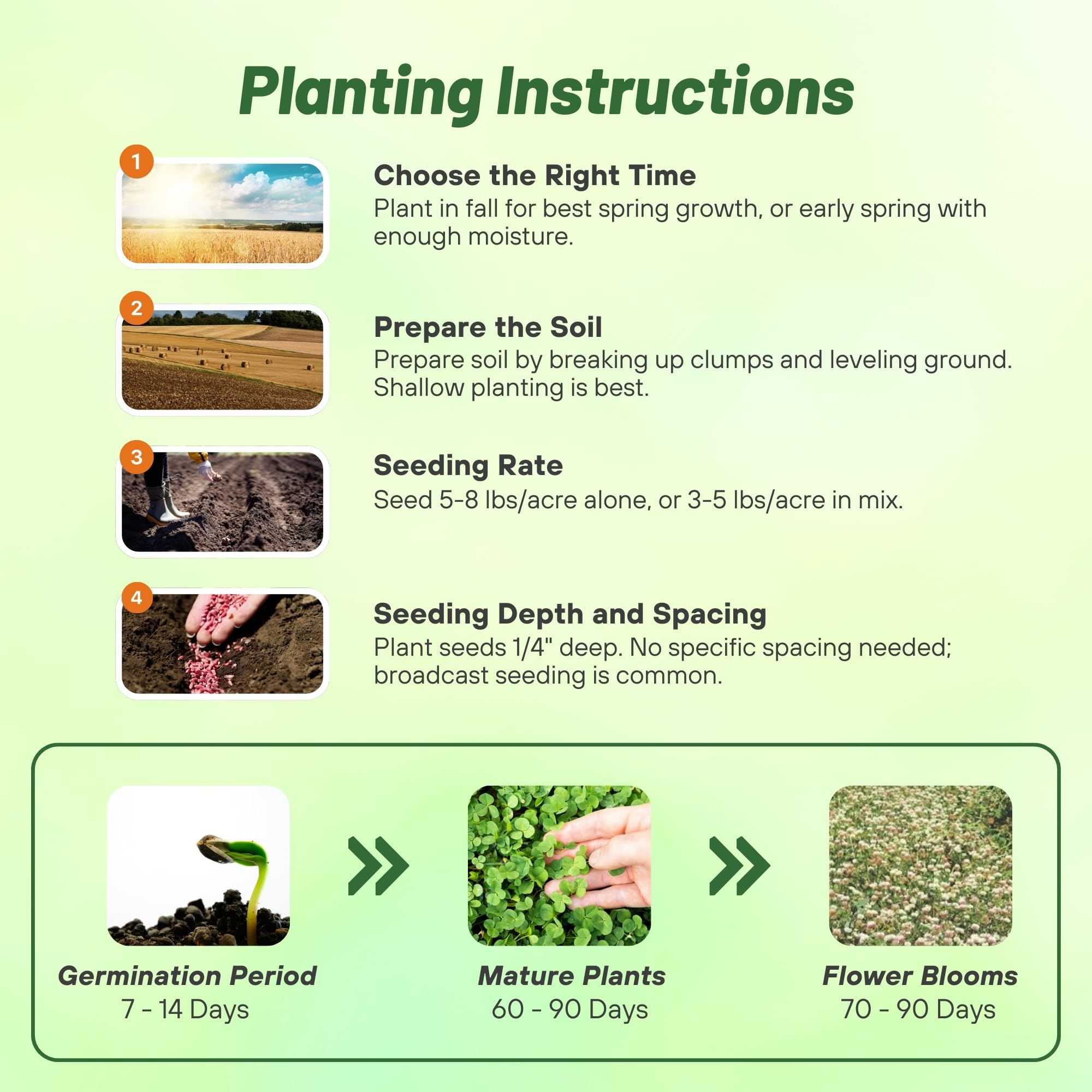 Outsidepride Fixation Balansa Clover shade helps suppress weeds in a lawn