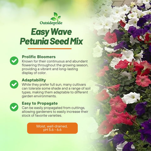 Outsidepride Flag Mix petunia bed display showing ground cover color