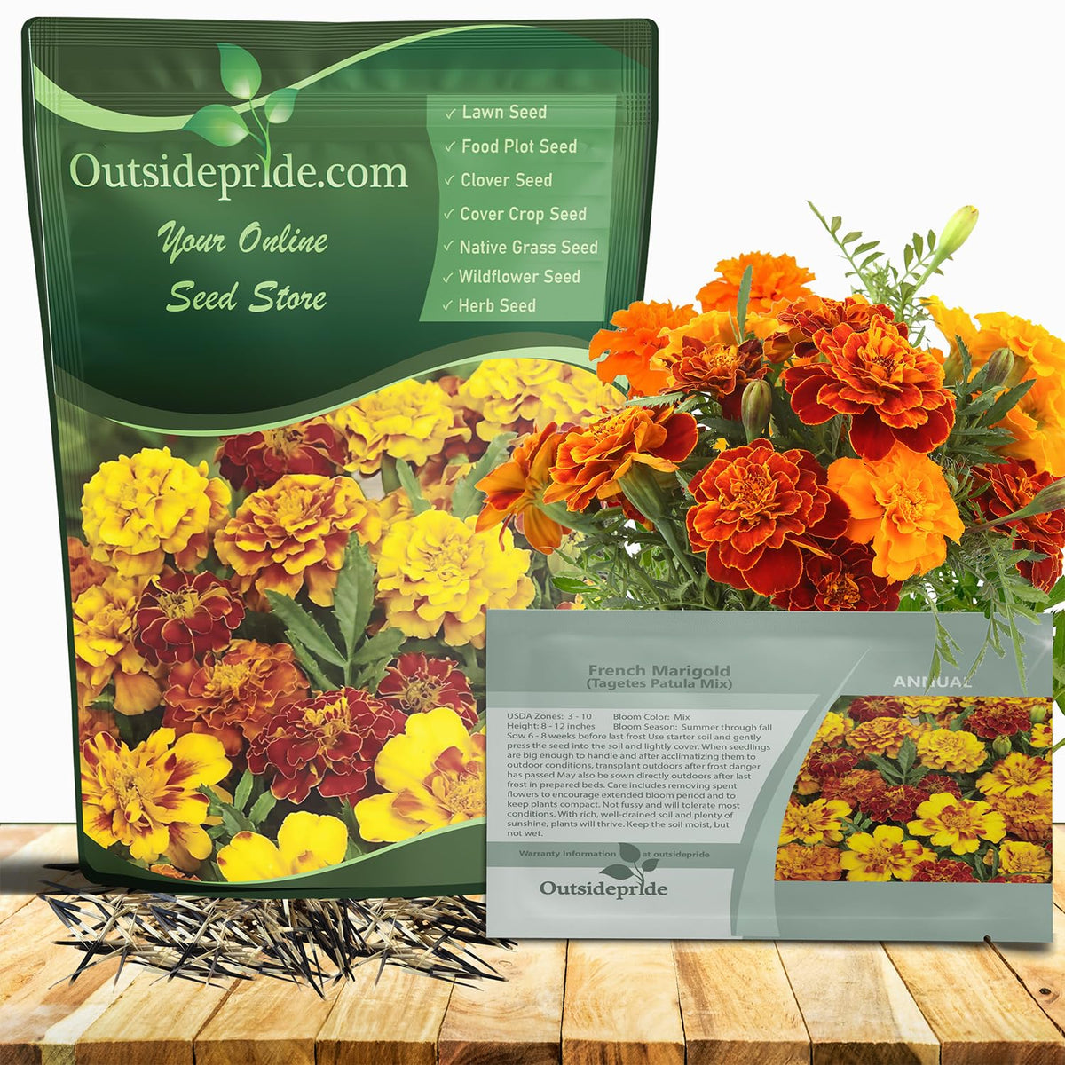 Outsidepride French Marigold seed mix bloom closeup with vibrant orange and yellow petals