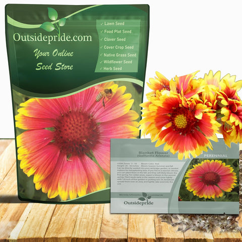 Outsidepride Gaillardia Aristata Red Blanket Flower seeds pack for sunny border planting