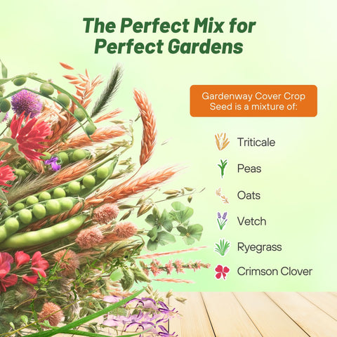 Outsidepride Gardenway crimson clover and ryegrass support pollinators and ground cover