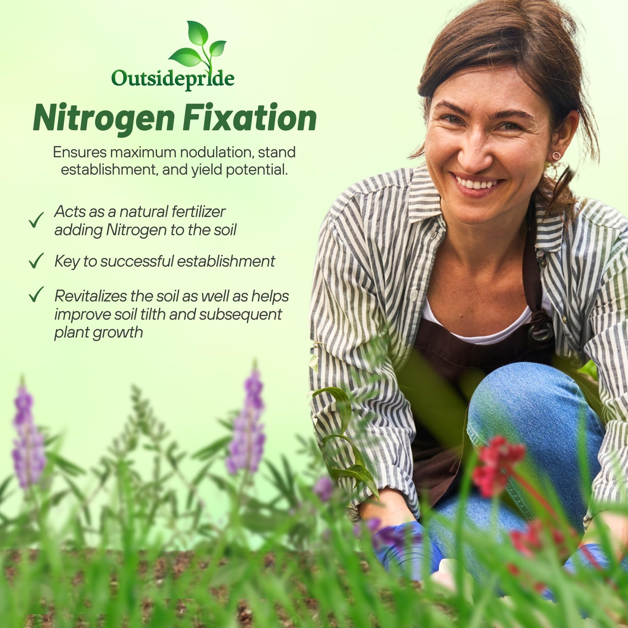 Outsidepride Gardenway ground cover reduces erosion and weeds naturally