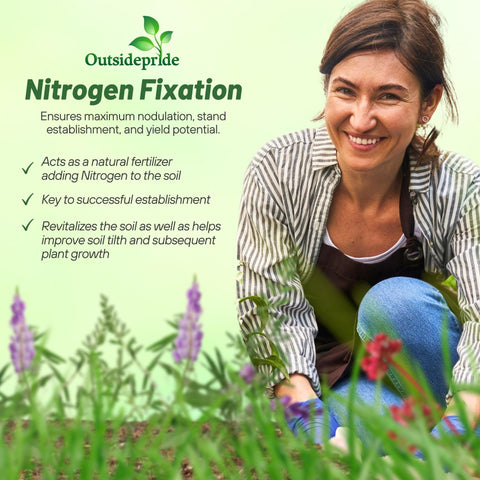 Outsidepride Gardenway oats seeds promote early germination and moisture retention.