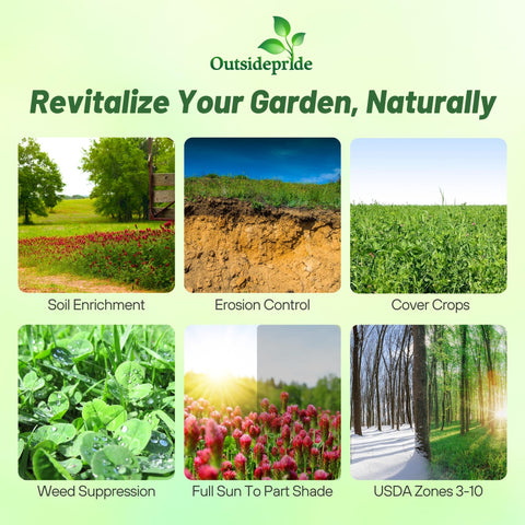 Outsidepride Gardenway triticale seeds for strong ground cover.