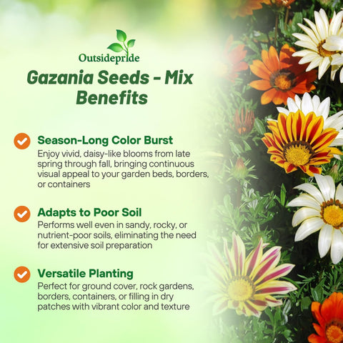 Outsidepride Gazania blooms resembling daisies in red, yellow, and orange brighten landscapes.