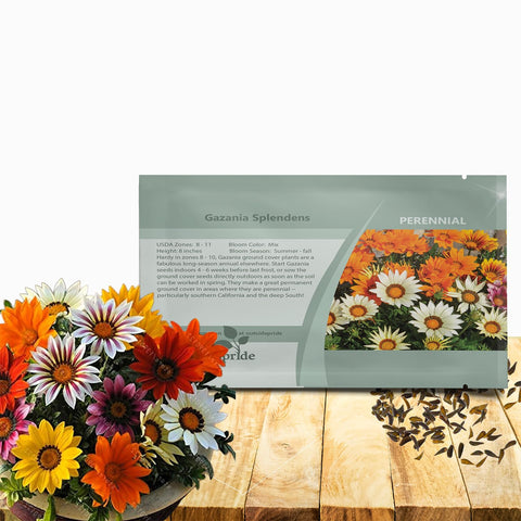 Outsidepride Gazania seeds mixed pack ready for sunny garden beds, low-maintenance color.