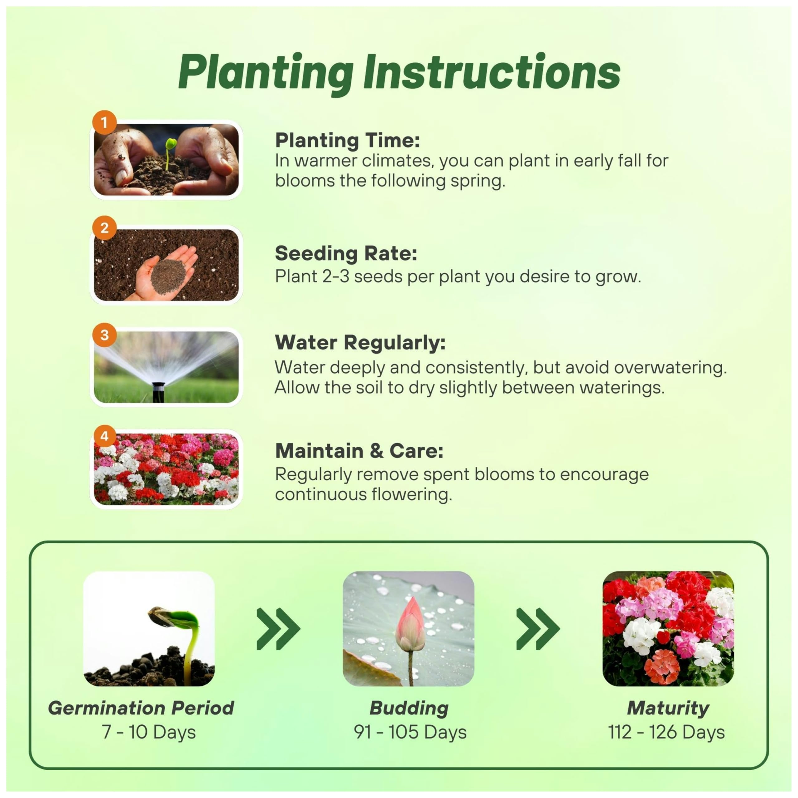 Outsidepride Geranium Seeds are heat-tolerant for hot summers.